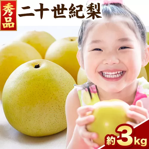 【秀品(赤秀)】先行予約 二十世紀梨 約3kg 《2026年8月下旬-9月下旬頃出荷》鳥取県 八頭町 梨 なし 果物 フルーツ 特産品 秀品 赤秀 贈答用 先行予約 送料無料 果汁 デザート