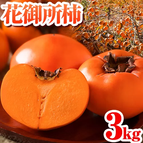 柿 八頭町が誇る 日本随一の 甘柿 花御所柿 贈答用 3kg Tottori食のまごころ農園 《12月上旬-12月下旬頃出荷》鳥取県 八頭町 柿 かき カキ 花御所柿 甘柿 果物 フルーツ