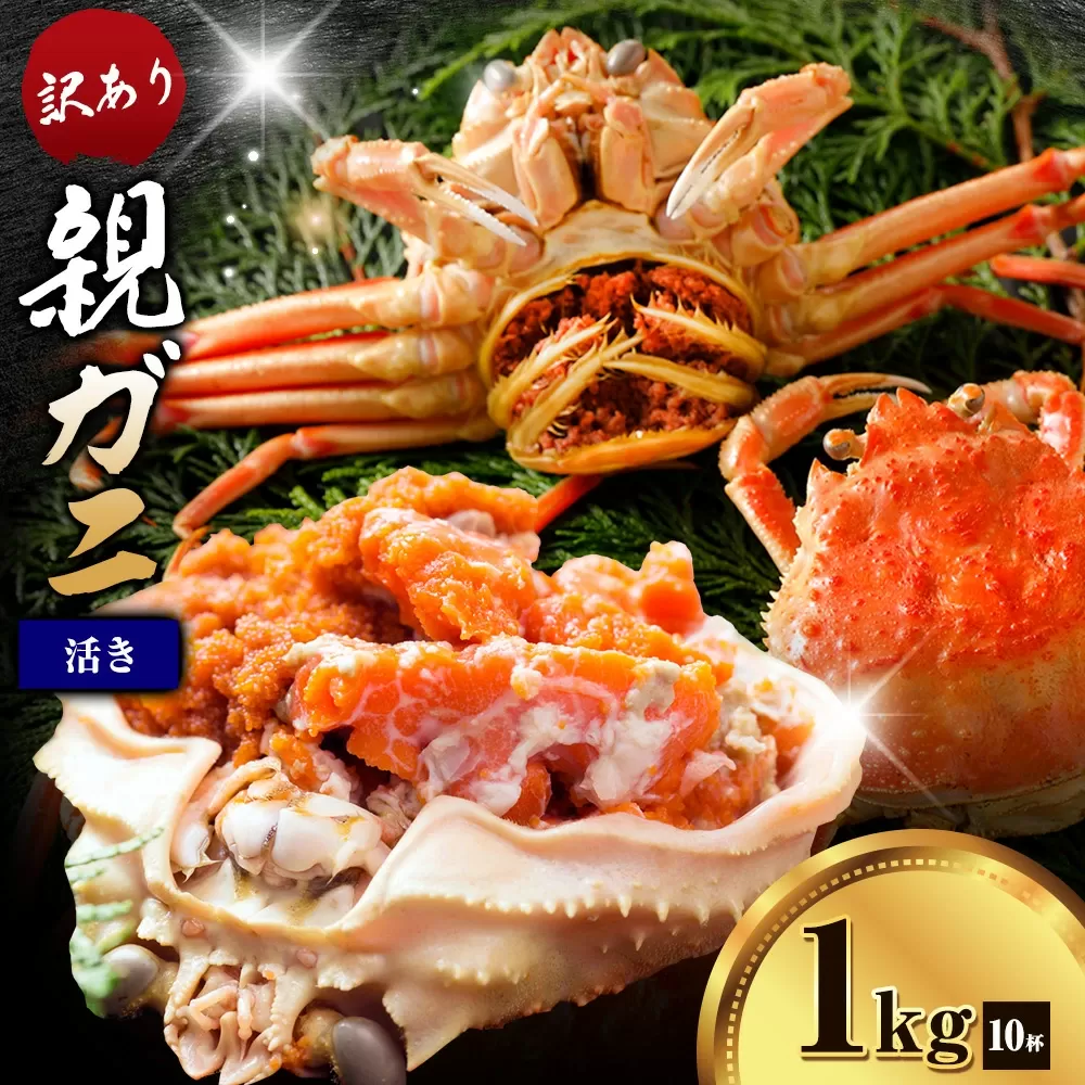 カニ 親ガニ 訳あり 1000g 1kg 活き 10杯 《12月上旬-12月末頃出荷》 SOO合同会社 鳥取県 八頭町 送料無料  蟹 かに 姿 鍋  訳アリ