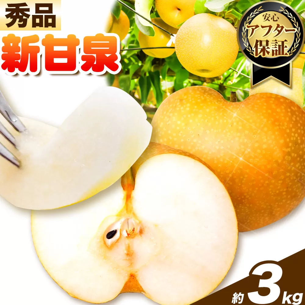 【秀品(赤秀)】先行予約 新甘泉 約3kg《2026年8月下旬-9月下旬頃出荷》鳥取県 八頭町 梨 なし 果物 フルーツ 特産品 秀品 赤秀 贈答用 先行予約 送料無料 果汁 デザート