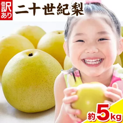 [訳あり]先行予約 二十世紀梨 約5kg(10~25玉) ≪2026年8月下旬-9月下旬頃出荷]二十世紀梨 梨 ご家庭用 旬 二十世紀 鳥取県 八頭町 なし 果物 フルーツ 特産品 送料無料 果汁 デザート 八頭