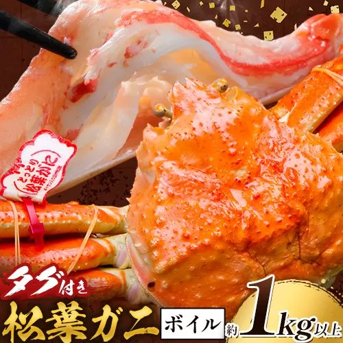 かに タグ付き 松葉ガニ 約1kg 以上 ボイル 《11月上旬-4月中旬頃出荷》お魚センターみくりや 鳥取県 八頭町 蟹 かに カニ 鍋 松葉ガニ ボイル 送料無料