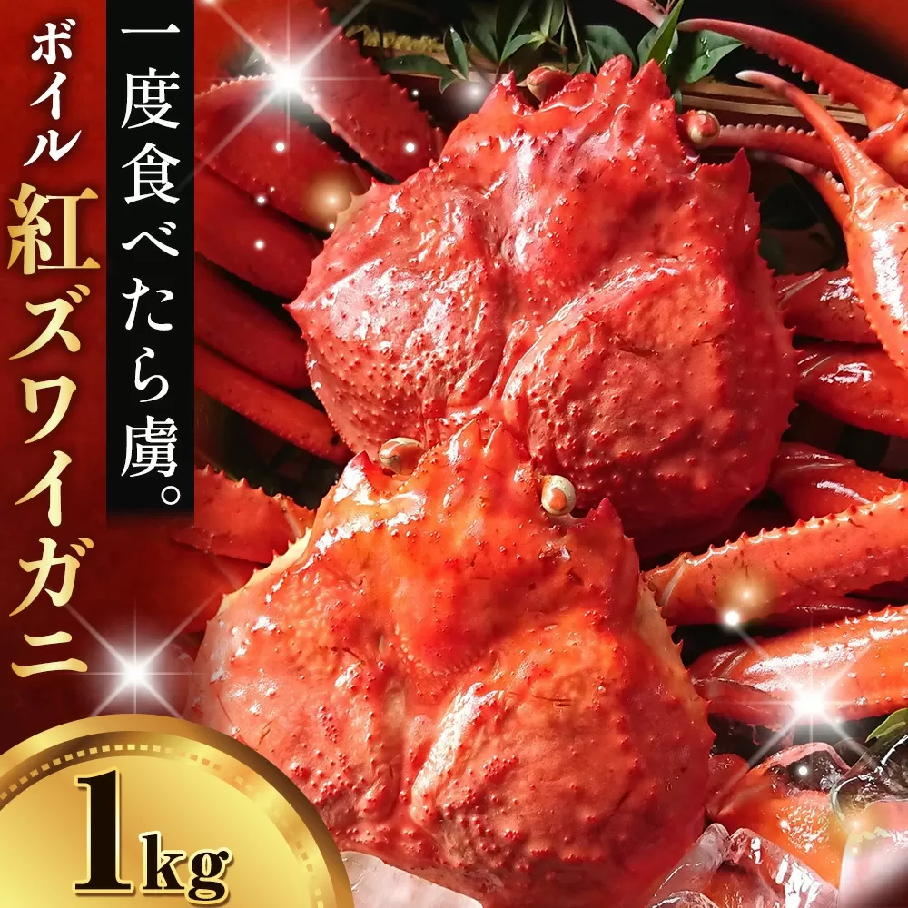 カニ 紅ズワイガニ 1kg(2杯 〜3 杯) [9月上旬-5月末頃出荷] SOO合同会社 鳥取県 八頭町 送料無料 蟹 かに 姿 鍋 ズワイガニ ズワイ蟹 ボイル ベニズワイ ベニズワイガニ