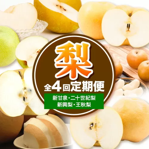【先行予約】【全4回定期便】八頭の梨スペシャルコース 定期便 《8月下旬-11月末頃出荷》JA鳥取いなば 鳥取県 八頭町 梨 なし 果物 フルーツ 定期便 頒布会 新甘泉 二十世紀梨 新興梨 王秋梨