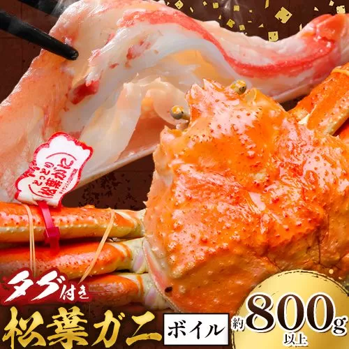 かに タグ付き 松葉ガニ 約800g 以上 ボイル 《11月上旬-4月中旬頃出荷》お魚センターみくりや 鳥取県 八頭町 蟹 かに カニ 鍋 松葉ガニ ボイル 送料無料