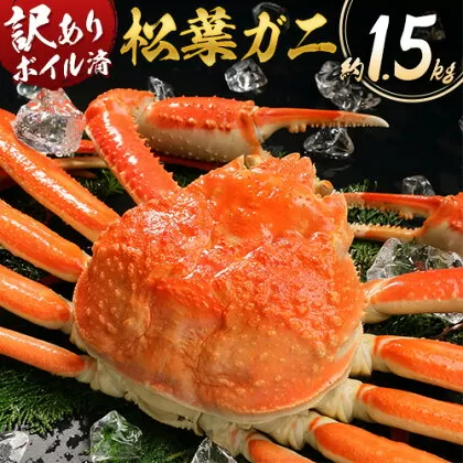 かに 訳あり 松葉ガニ 1.5kg ボイル済み 冷蔵 《11月上旬-4月中旬頃出荷》お魚センターみくりや 鳥取県 八頭町 蟹 かに カニ 鍋 松葉ガニ ボイル 送料無料 訳あり 訳アリ