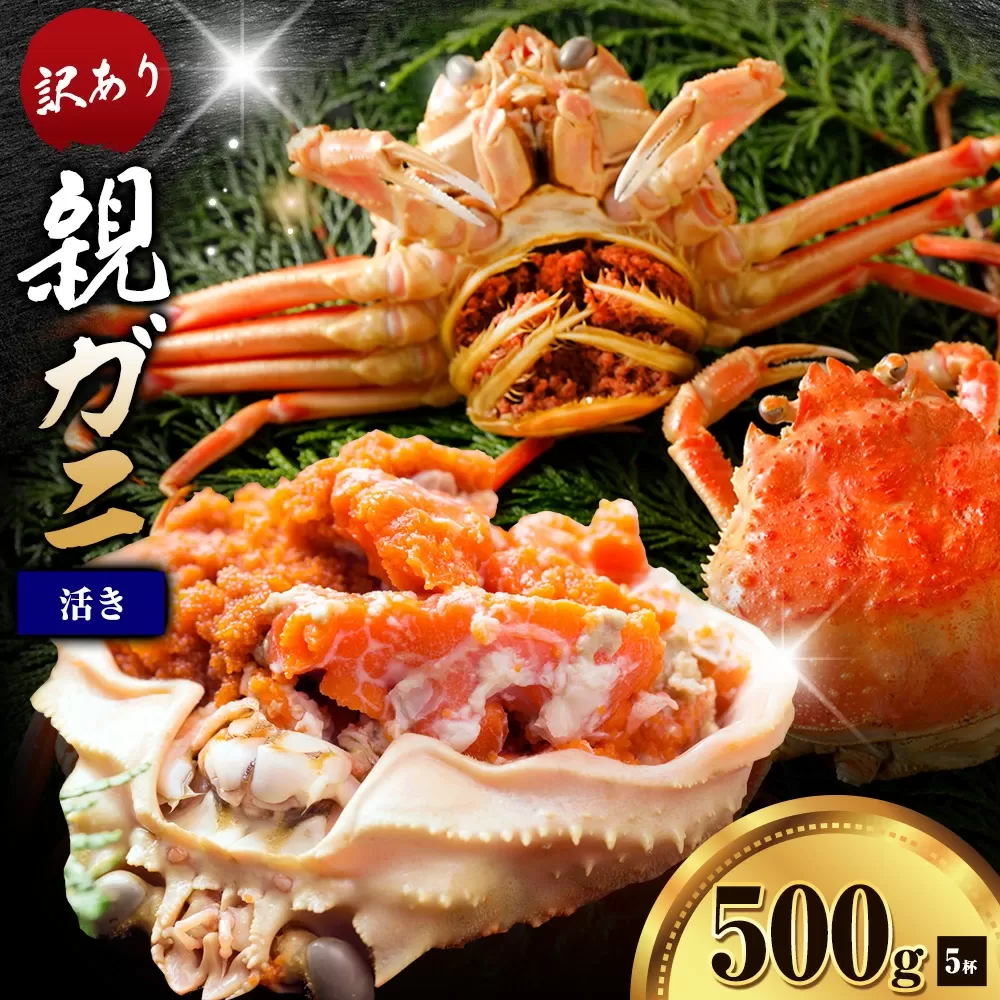 カニ 親ガニ 訳あり 500g 活き 5杯 《12月上旬-12月末頃出荷》 SOO合同会社 鳥取県 八頭町 送料無料  蟹 かに 姿 鍋  訳アリ