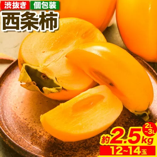 西条柿 2.5kg 個包装 (12玉〜14玉) JA鳥取いなば《10月下旬-11月下旬より出荷予定》渋抜き 2L〜3L 柿 かき カキ フルーツ 果物 くだもの 青果物 特秀 鳥取県 八頭町