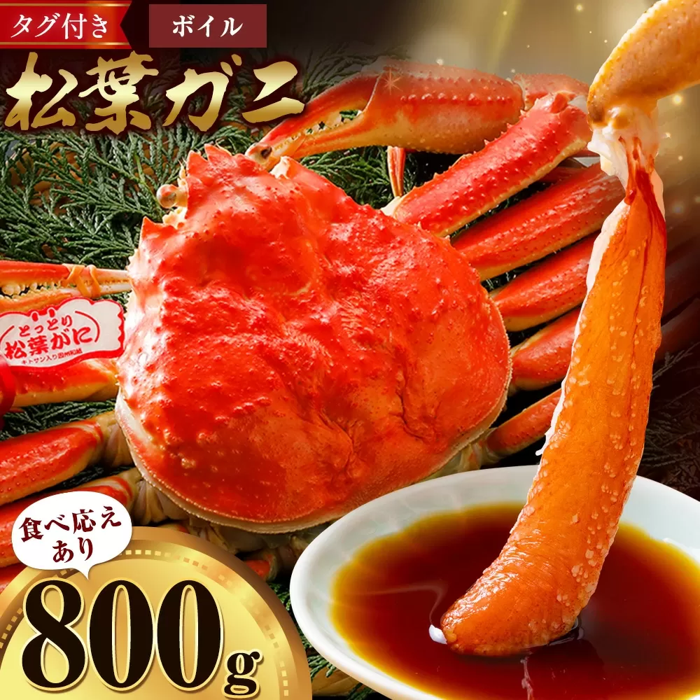 カニ 松葉ガニ 800g  ボイル 1杯 《1月・2月発送》 SOO合同会社 鳥取県 八頭町 送料無料  蟹 かに 姿 鍋 ズワイガニ  ズワイ蟹 ボイル 松葉ガニ