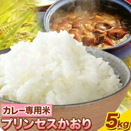 カレー専用米 プリンセスかおり 5kg 有限会社 田中農場《90日以内に出荷予定(土日祝除く)》鳥取県 八頭町 米 お米 ご飯 カレー 送料無料 5kg