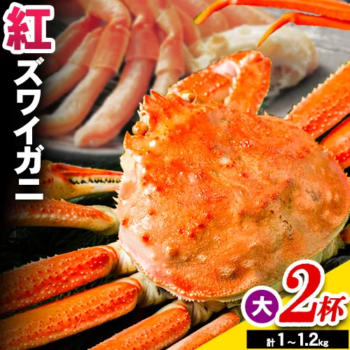 蟹 蟹セレブ 紅ズワイガニ サイズ 大2杯セット（500〜600g×2） giverichホールディングス《10月上旬-5月下旬頃出荷》鳥取県 八頭町 蟹 かに カニ 紅ズワイガニ 紅ズワイ 送料無料