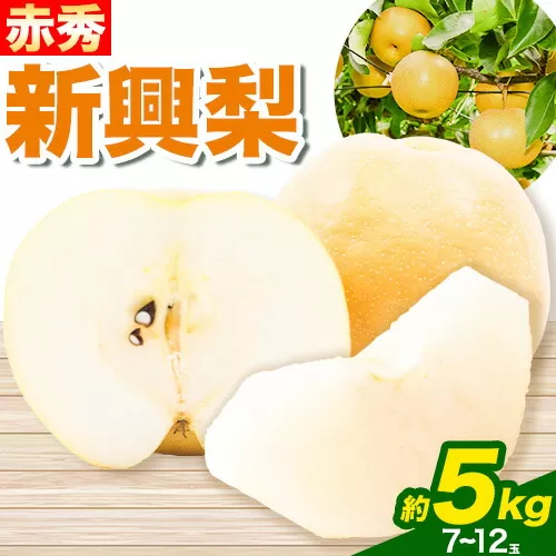 新興梨 赤秀 約5kg (7~12玉) JA鳥取いなば《10月中旬-11月末頃より順次出荷》鳥取県 八頭町 梨 なし ナシ 果物 フルーツ ふるさと納税 送料無料 新興梨 果実 果汁 常温便