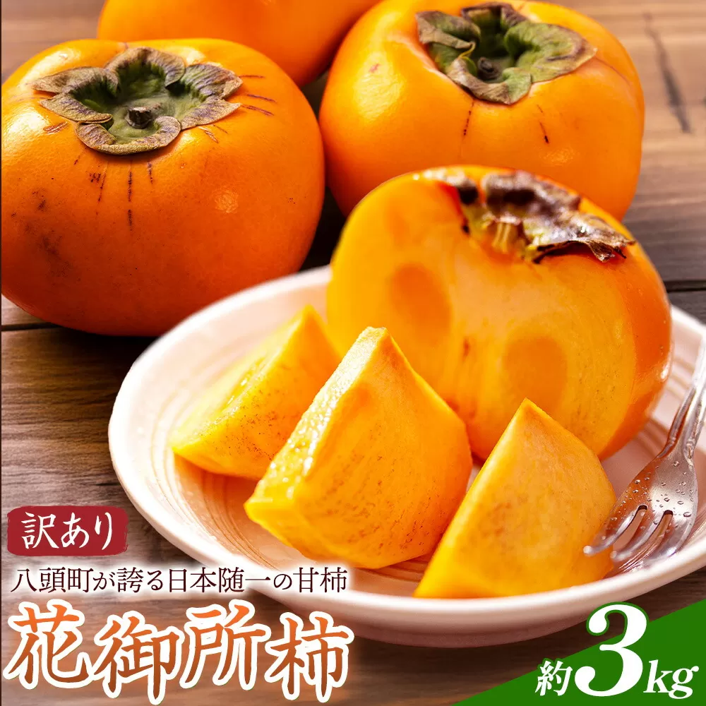 ご家庭用 柿 八頭町が誇る 日本随一の 甘柿 花御所柿 約3kg Tottori食のまごころ農園 《12月上旬-12月下旬頃出荷》鳥取県 八頭町 柿 かき カキ 花御所柿 甘柿 果物 フルーツ 訳あり