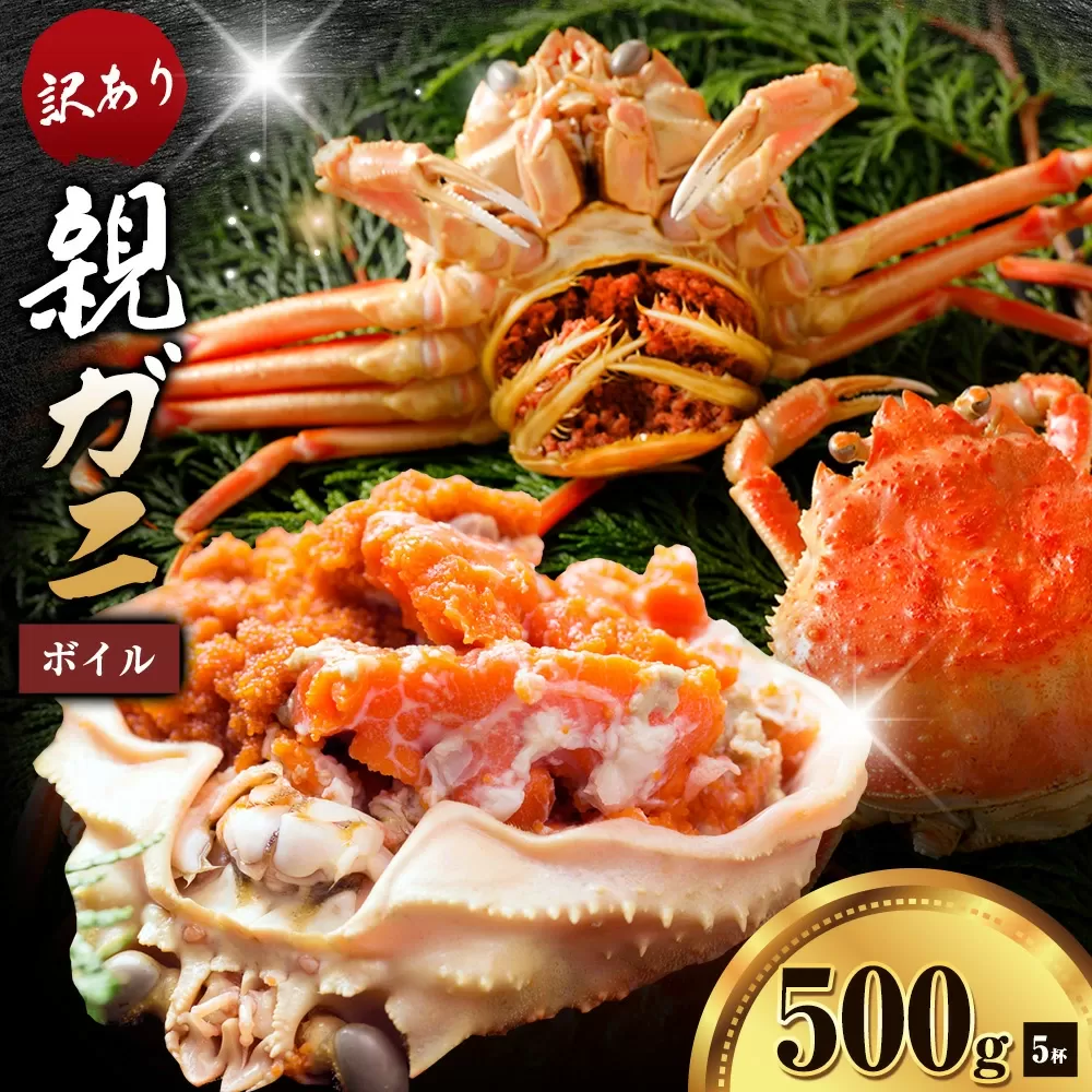カニ 親ガニ 訳あり 500g ボイル 5杯 《12月上旬-12月末頃出荷》 SOO合同会社 鳥取県 八頭町 送料無料 蟹 かに 姿 鍋 訳アリ