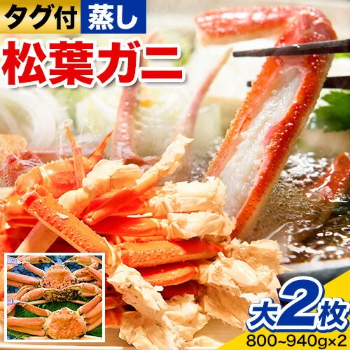 【先行予約】【蒸し】タグ付き松葉ガニ 大2枚(1枚あたり800〜940g) 高間商店《2026年11月中旬-2027年3月下旬頃出荷》鳥取県 八頭町 送料無料 カニ 蟹 松葉ガニ タグ付き ブランド