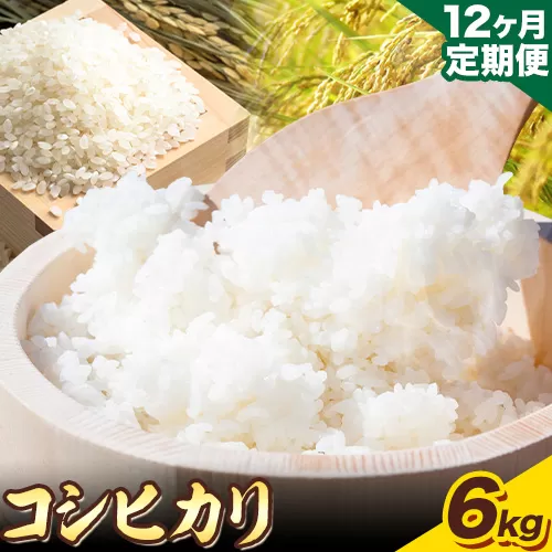 【12ヶ月定期便】“土づくりの恵み” つやっつやの特別栽培米お届け 12ヶ月コース 特別栽培米 コシヒカリ ２kg×３袋 有限会社 田中農場《ご入金を確認してから約2ヶ月後に出荷開始》鳥取県 八頭町 米 お米 ご飯 定期 定期便 送料無料