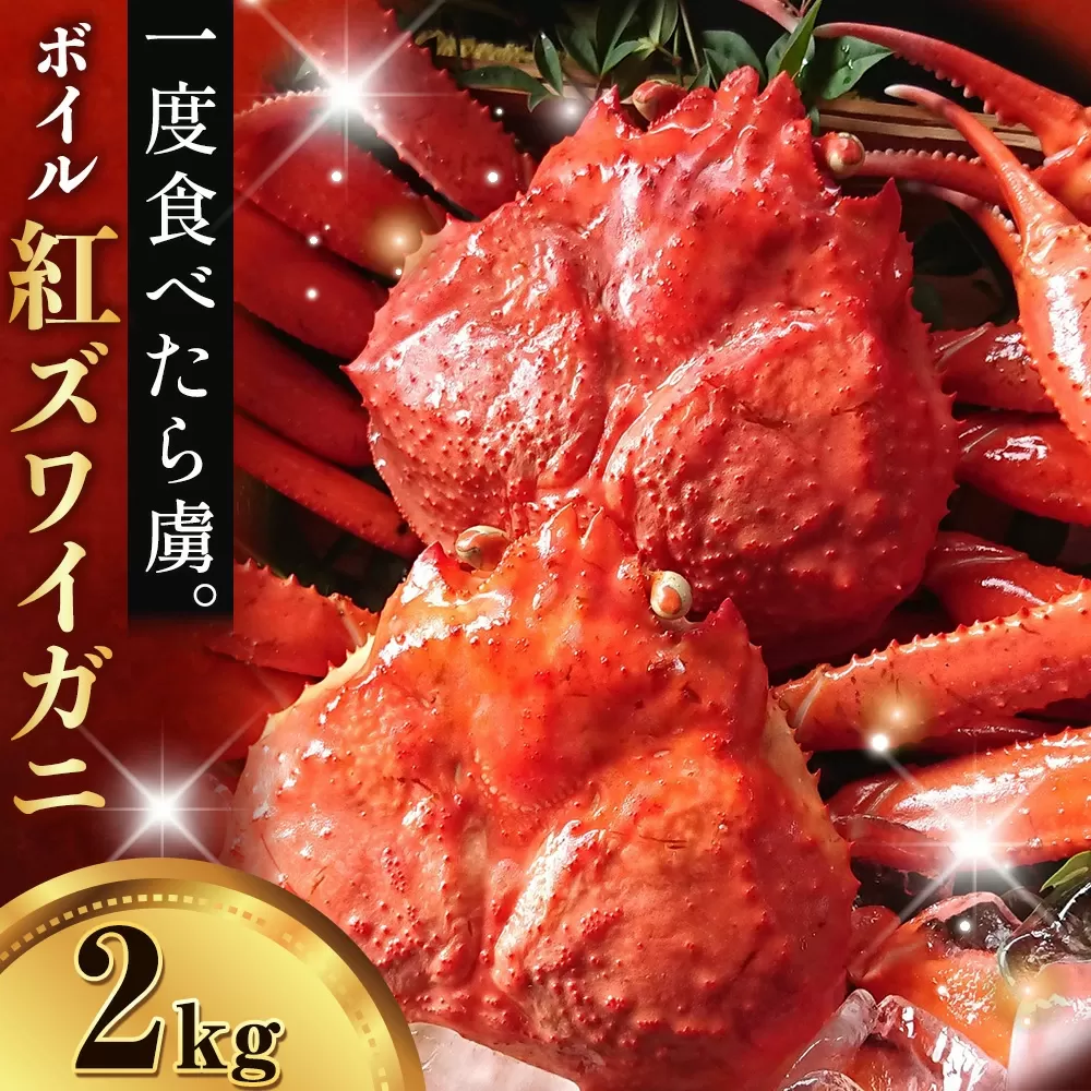 カニ 紅ズワイガニ 2kg(4杯 〜5 杯) [9月上旬-5月末頃出荷] SOO合同会社 鳥取県 八頭町 送料無料 蟹 かに 姿 鍋 ズワイガニ ズワイ蟹 ボイル ベニズワイ ベニズワイガニ