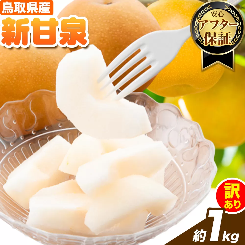 [訳あり]先行予約 新甘泉 約1kg[2026年8月下旬-9月下旬頃出荷]新甘泉 梨 訳あり ご家庭用 鳥取県 八頭町 なし 果物 フルーツ 特産品 送料無料 果汁 デザート 八頭