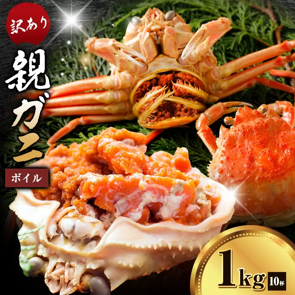 カニ 親ガニ 訳あり 1000g 1kg ボイル 10杯 《12月上旬-12月末頃出荷》 SOO合同会社 鳥取県 八頭町 送料無料  蟹 かに 姿 鍋  訳アリ
