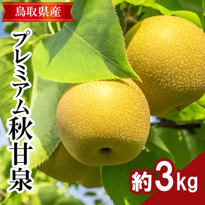プレミアム秋甘泉　3kg前後