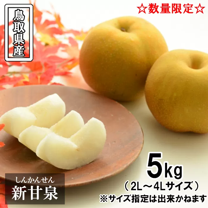 鳥取県産 新甘泉梨　5kg