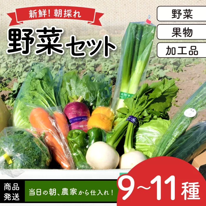 新鮮朝採れ野菜セット【 新鮮野菜 9~11種類 季節 旬 野菜 果物 詰め合せ 国産 おまかせ 葉物 根菜 冷蔵 野菜室 加工品 鳥取県産 季節限定 山菜 加工品】