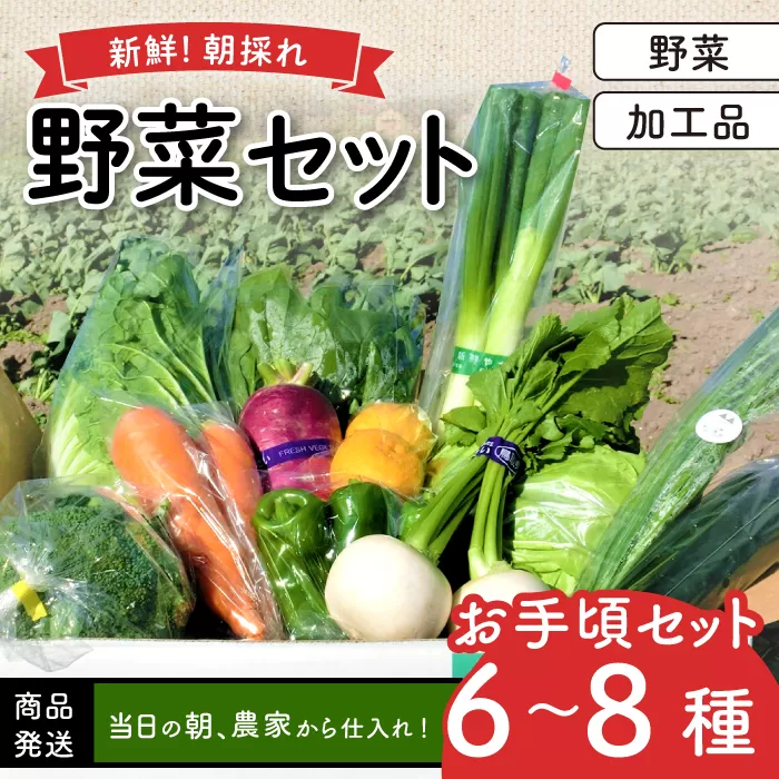 新鮮朝採れ野菜　お手頃セット【 新鮮野菜 6~8種類 季節 旬 野菜 果物 詰め合せ 国産 おまかせ ミニセット 葉物 根菜 冷蔵 野菜室 加工品 鳥取県産 季節限定 山菜 加工品】