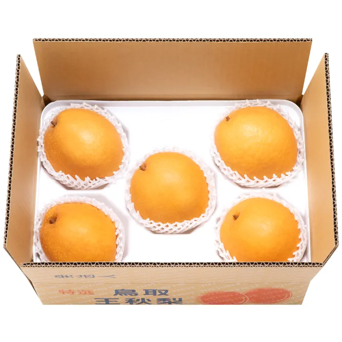 【期間限定】たにがみ農園の王秋 2.5キロ箱　(鳥取県産)