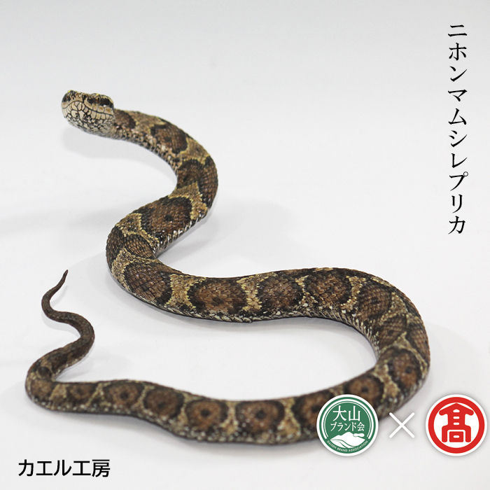 ニホンマムシ(レプリカ) ニホンマムシ(レプリカ)