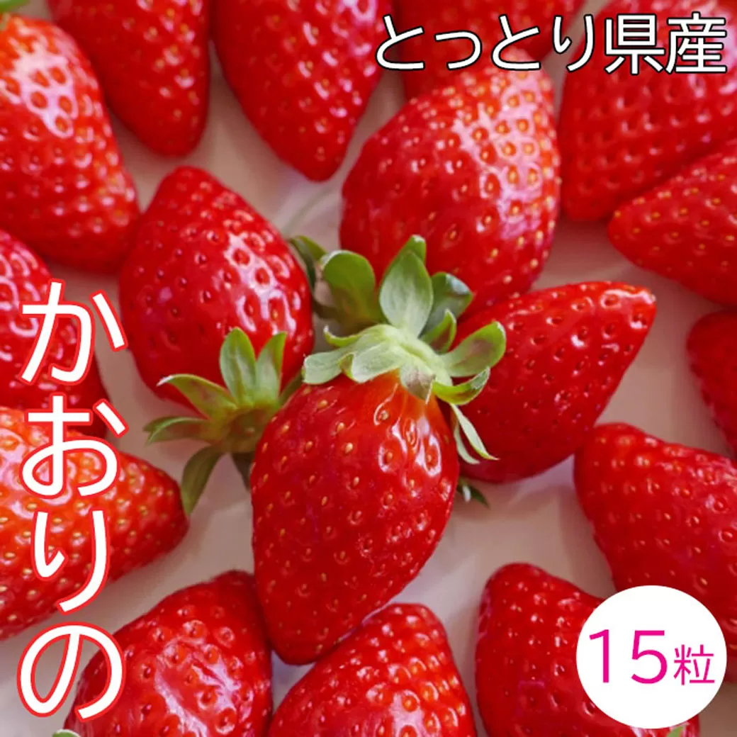 OT01：鳥取県産いちごかおりの　ギフト箱　15粒