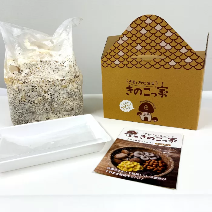 おうちで楽しむ たもぎたけ栽培キット きのこっ家【きのこ たもぎたけ タモギタケ 栽培 キット 菌床 1個 鳥取県 日吉津村】