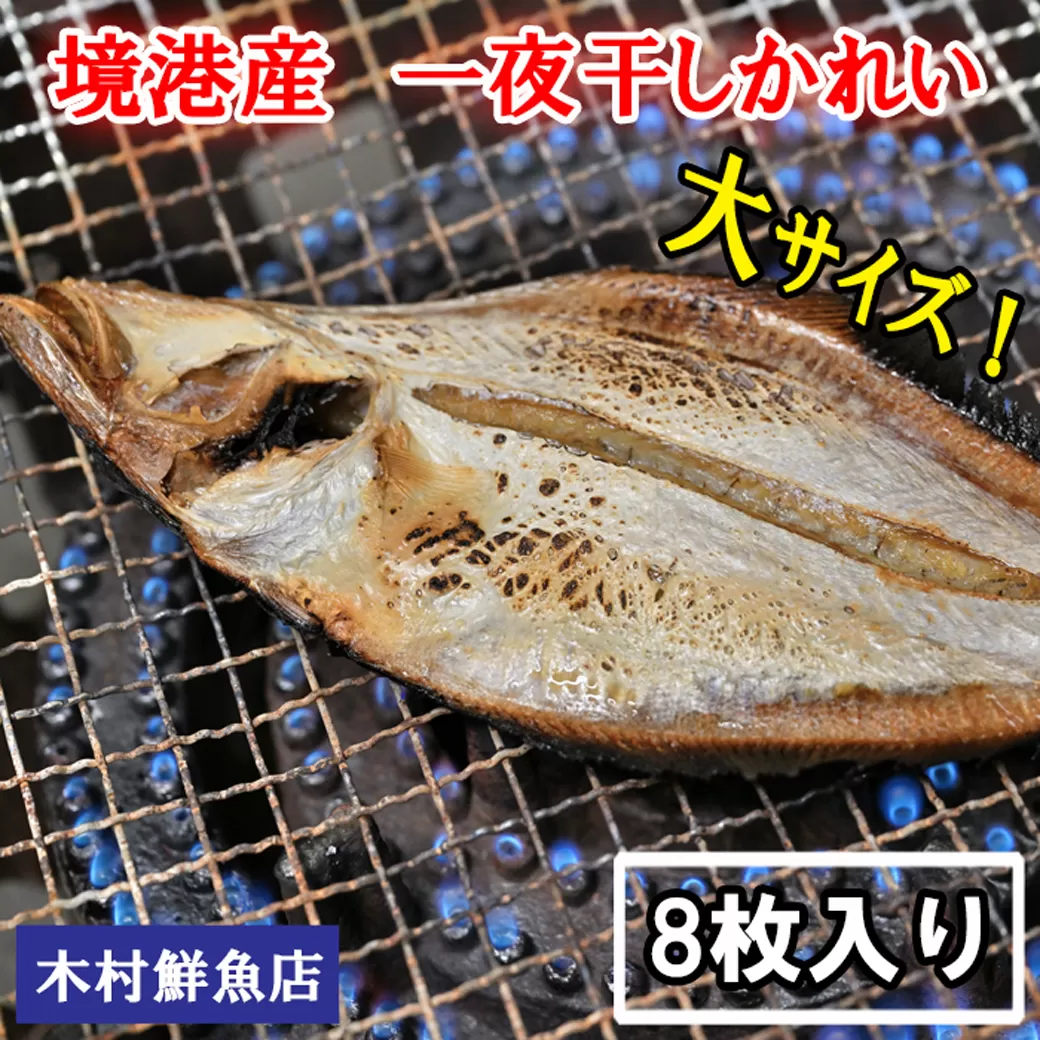 境港産一夜干しかれい（8枚）