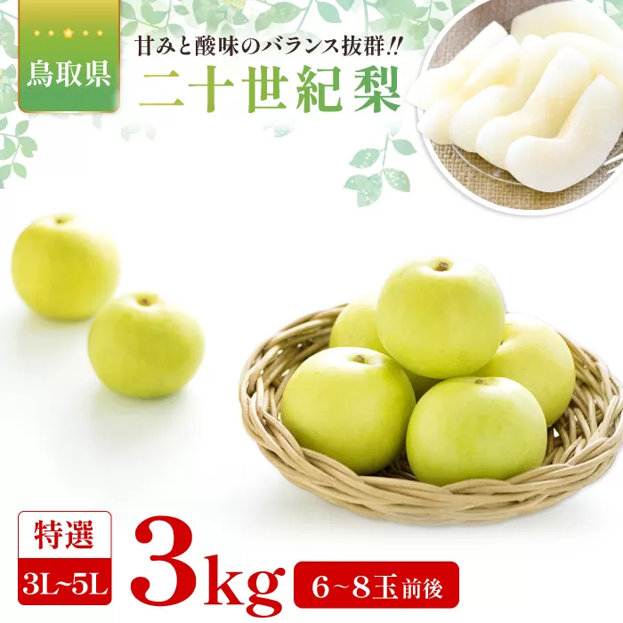二十世紀梨　特選3kg
