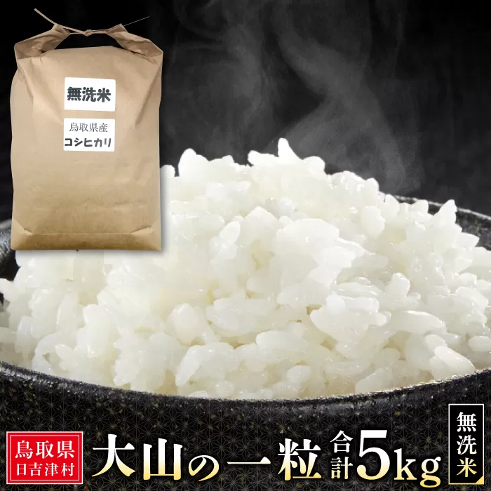 大山の一粒　無洗米 5kg