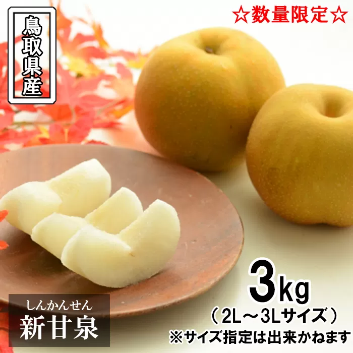 鳥取県産 新甘泉梨　3kg