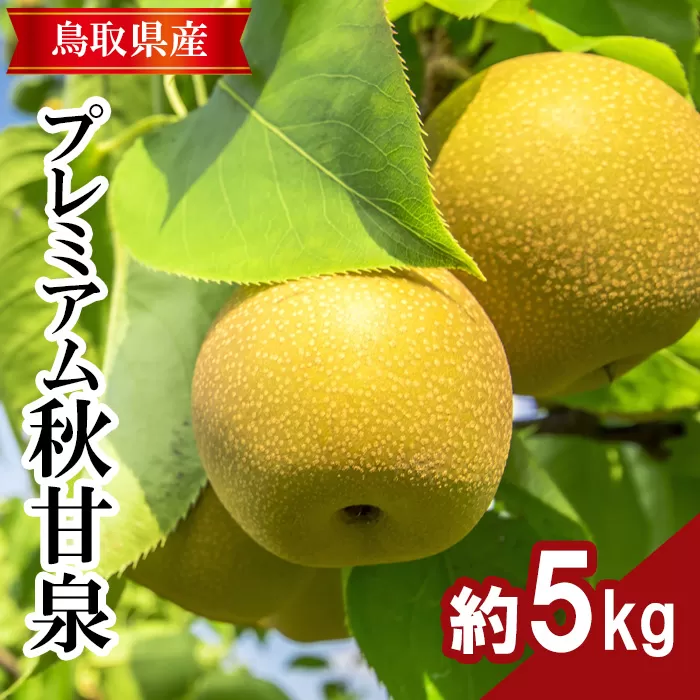 プレミアム秋甘泉　5kg前後