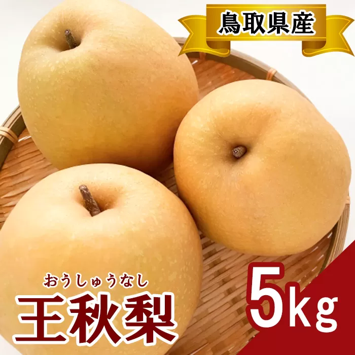 プレミアム王秋梨　5kg