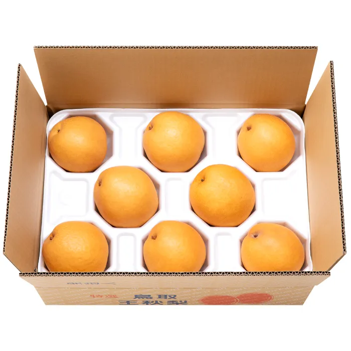 【期間限定】たにがみ農園の王秋 5キロ箱　(鳥取県産)