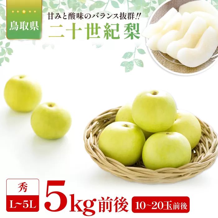 二十世紀梨　秀5kg前後