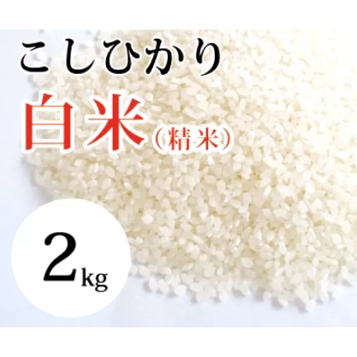 大山の一粒 白米 2kg【米 2kg 2キロ こめ コメ 先行予約 お米 白米 精米 こしひかり コシヒカリ ごはん ライス kome 国産 お取り寄せ 鳥取県 大山町】