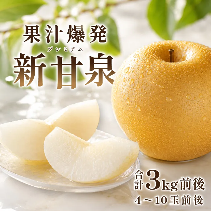 プレミアム新甘泉　3kg前後【梨 赤梨 新甘泉 しんかんせん 3kg 先行予約 期間限定 数量限定 なし ナシ 果物 くだもの フルーツ 旬 高糖度 甘い 贈り物 ギフト お取り寄せ 産地直送 鳥取県】