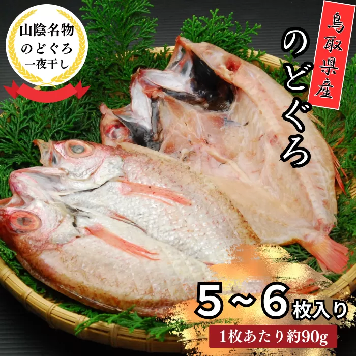 KI03：鳥取県産のどぐろ一夜干し（小５〜６枚）