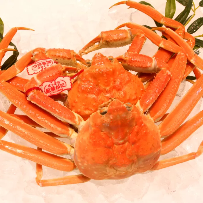 鳥取県産 タグ付き松葉ガニ 800g以上 2枚