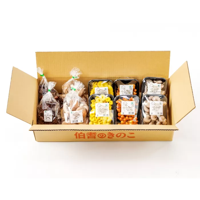 プロが厳選！オーガニックきのこ５種盛り(1.5kg)【しいたけ きくらげ ひらたけ たもぎたけ なめこ 黒あわびたけ やまぶしたけ おまかせ 厳選】