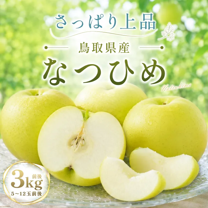 なつひめ　3kg【梨 3kg なし ナシ なつひめ 先行予約 季節限定 果物 くだもの フルーツ 旬 甘い 贈り物 ギフト お取り寄せ 産地直送 鳥取県】