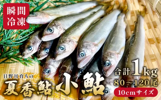 日野川育ちの「夏香鮎」小鮎（約10㎝）瞬間冷凍 1kg