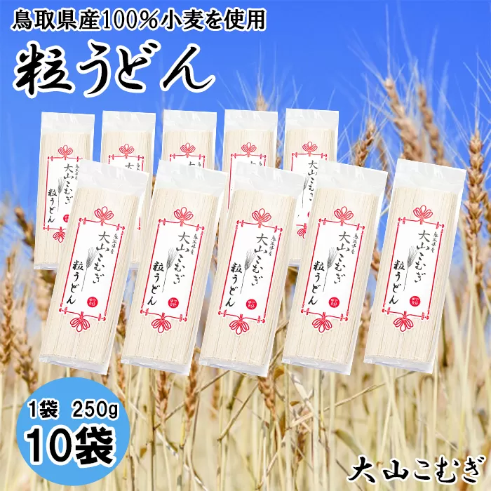 IW05：鳥取県産大山こむぎ粒うどん10袋