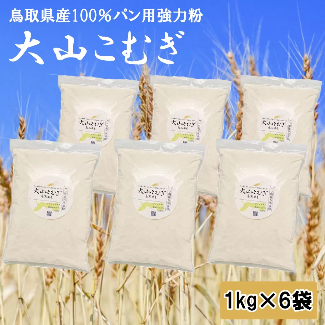 IW01：鳥取県産大山こむぎパン用強力粉　1kg×6袋