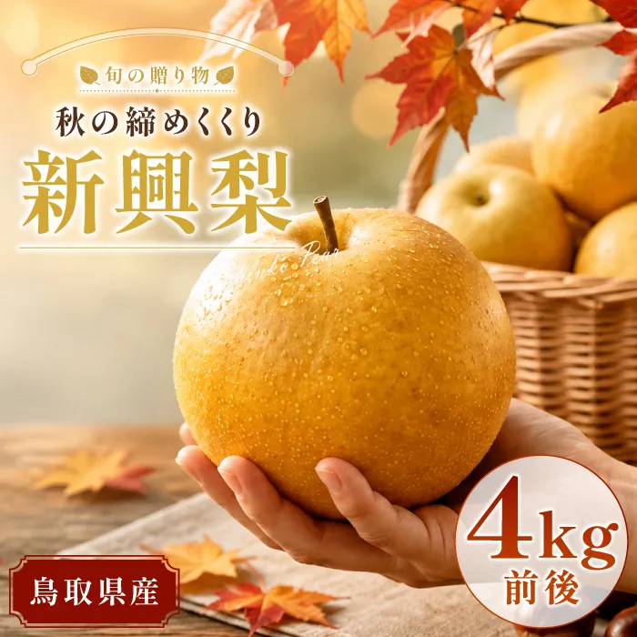 新興梨　4kg【梨 赤梨 新興梨 しんこうなし 4kg 先行予約 期間限定 数量限定 なし ナシ 果物 くだもの フルーツ 旬 高糖度 甘い 上品 贈り物 ギフト お取り寄せ 産地直送 鳥取県】