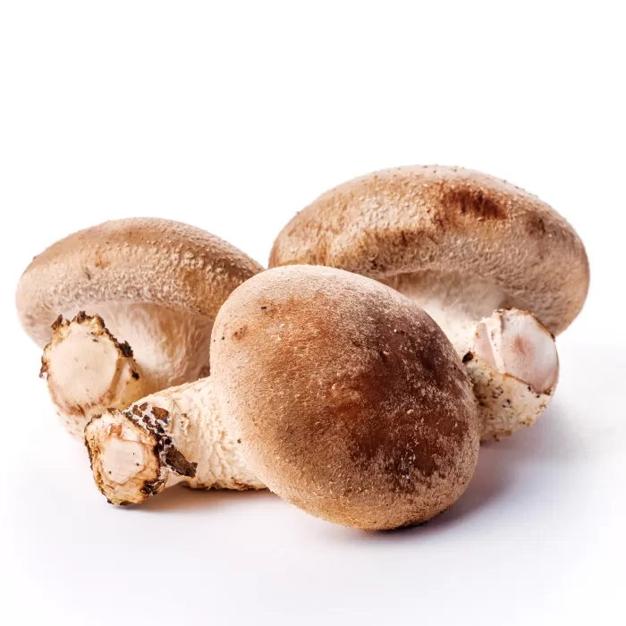 オーガニック菌床しいたけ200g×6袋【椎茸 オーガニック 菌床 野菜 きのこ キノコ】